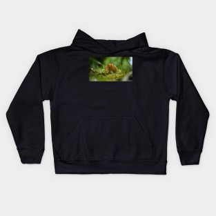 Mushroom Belly in the Green Moss Kids Hoodie